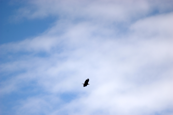s8